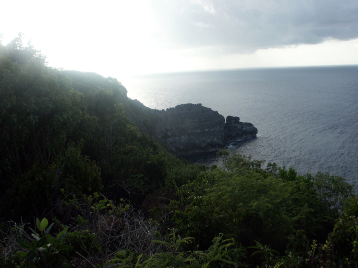 22c - Pointe de la  Grande Vigie 014.jpg - DCF 1.0